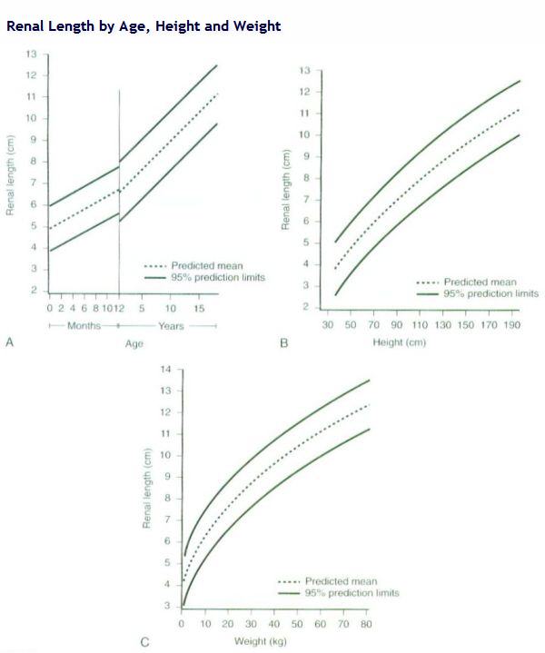 Alternate Renal Length Determinations